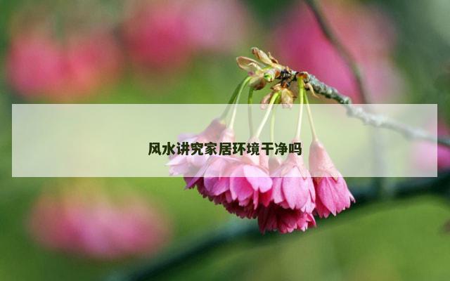 风水讲究家居环境干净吗