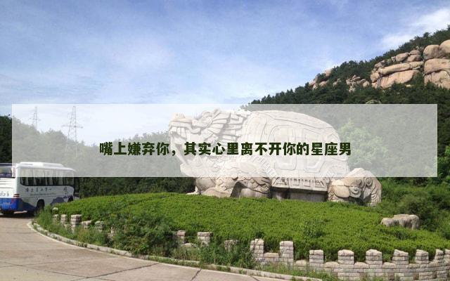 嘴上嫌弃你，其实心里离不开你的星座男