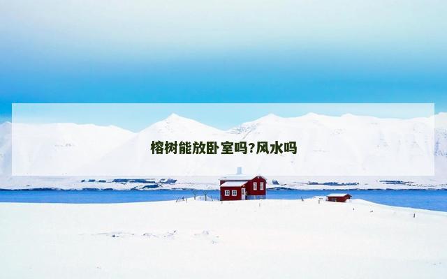 榕树能放卧室吗?风水吗