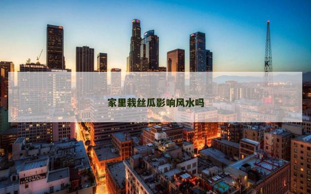 家里栽丝瓜影响风水吗