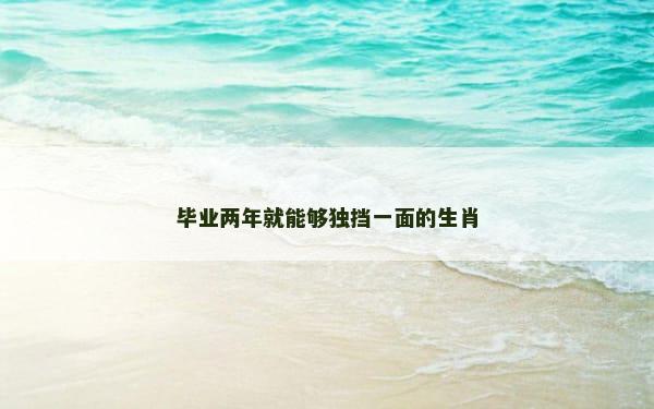 毕业两年就能够独挡一面的生肖