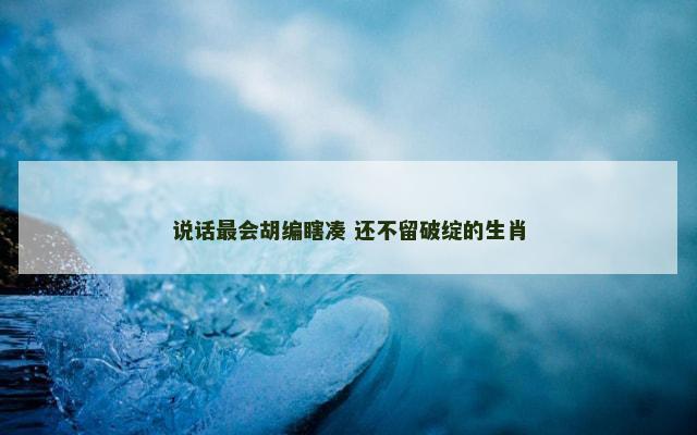 说话最会胡编瞎凑 还不留破绽的生肖