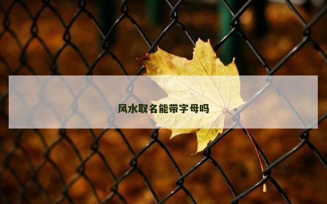 风水取名能带字母吗