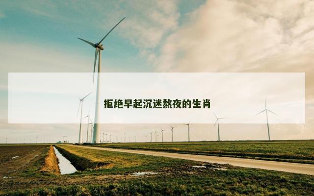 拒绝早起沉迷熬夜的生肖