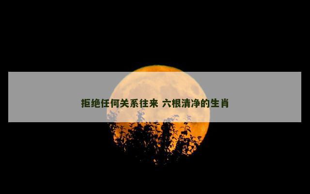 拒绝任何关系往来 六根清净的生肖