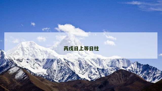 丙戌日上等日柱