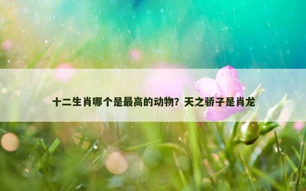 十二生肖哪个是最高的动物？天之骄子是肖龙
