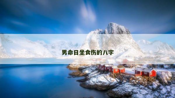 男命日坐食伤的八字