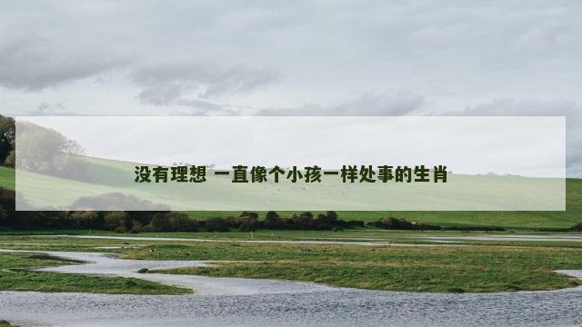 没有理想 一直像个小孩一样处事的生肖