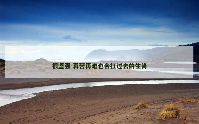很坚强 再苦再难也会扛过去的生肖