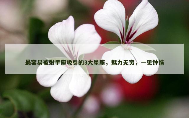 最容易被射手座吸引的3大星座，魅力无穷，一见钟情