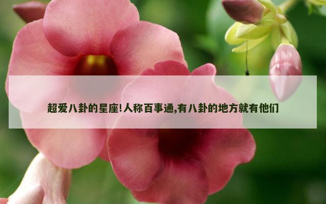 超爱八卦的星座!人称百事通,有八卦的地方就有他们