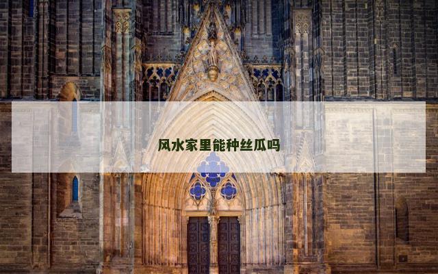 风水家里能种丝瓜吗