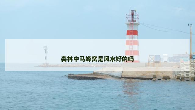 森林中马蜂窝是风水好的吗