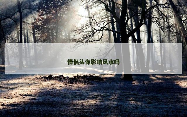 情侣头像影响风水吗
