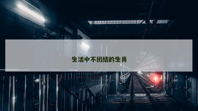 生活中不团结的生肖