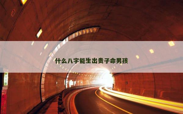 什么八字能生出贵子命男孩
