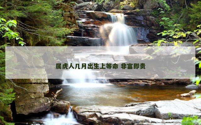 属虎人几月出生上等命 非富即贵