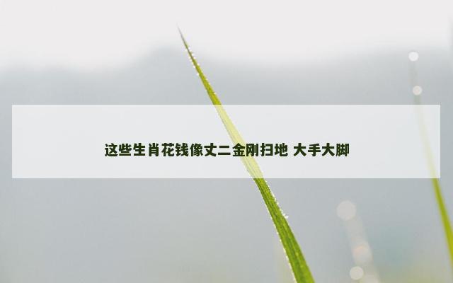 这些生肖花钱像丈二金刚扫地 大手大脚
