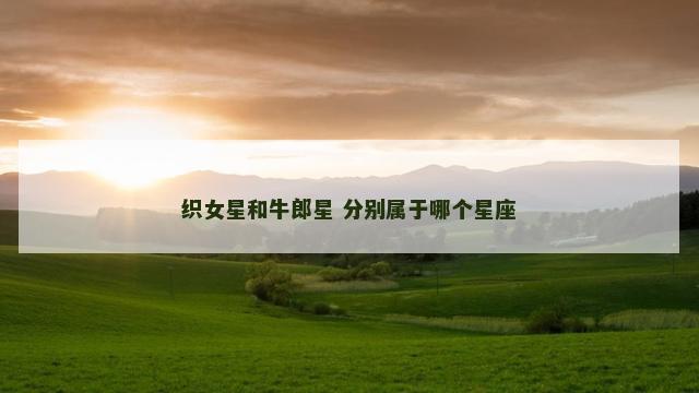 织女星和牛郎星 分别属于哪个星座