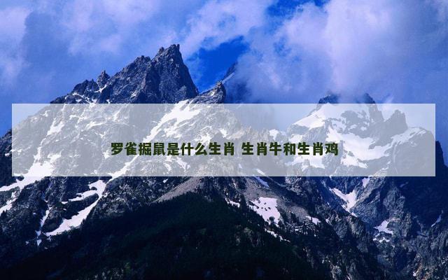 罗雀掘鼠是什么生肖 生肖牛和生肖鸡