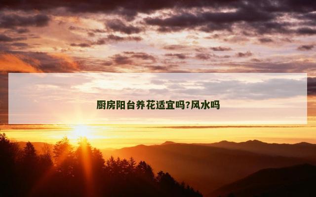 厨房阳台养花适宜吗?风水吗