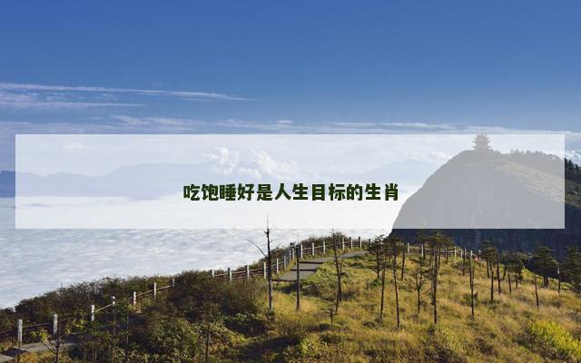 吃饱睡好是人生目标的生肖
