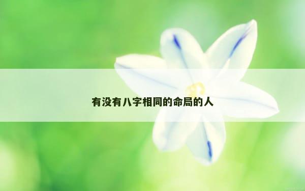 有没有八字相同的命局的人