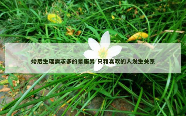 婚后生理需求多的星座男 只和喜欢的人发生关系