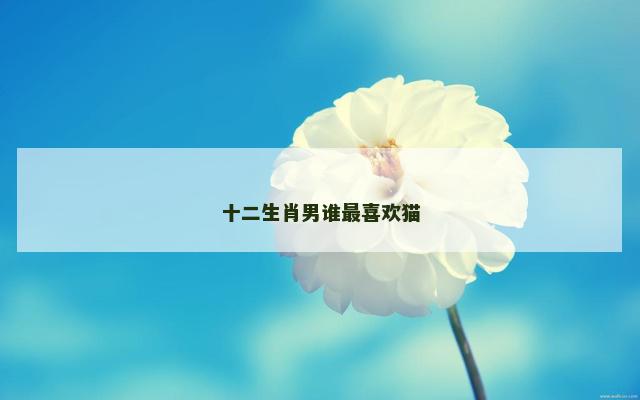 十二生肖男谁最喜欢猫