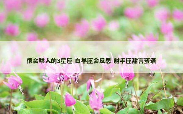 很会哄人的3星座 白羊座会反思 射手座甜言蜜语