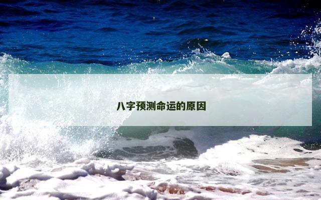 八字预测命运的原因