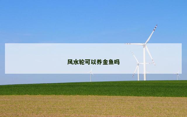 风水轮可以养金鱼吗