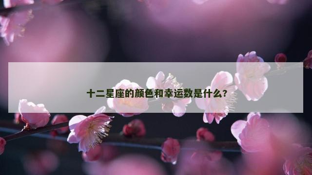 十二星座的颜色和幸运数是什么?