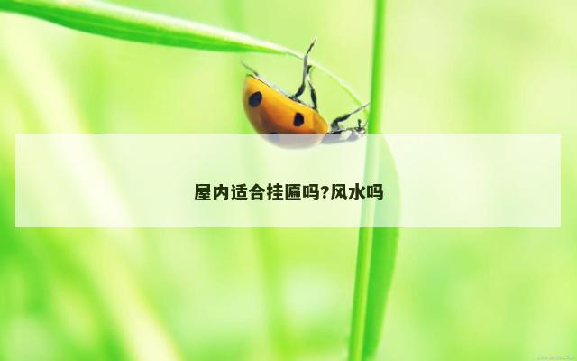 屋内适合挂匾吗?风水吗