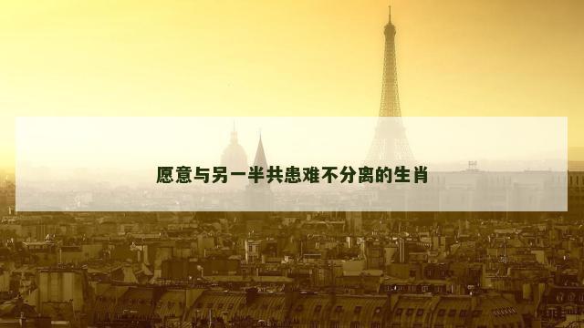 愿意与另一半共患难不分离的生肖