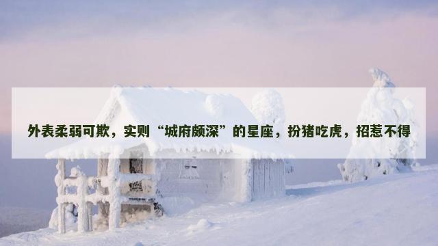 外表柔弱可欺，实则“城府颇深”的星座，扮猪吃虎，招惹不得