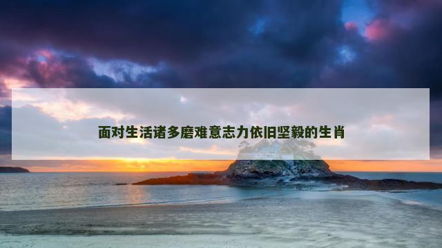 面对生活诸多磨难意志力依旧坚毅的生肖