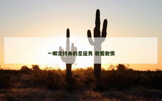 一眼定终身的星座男 敢爱敢恨