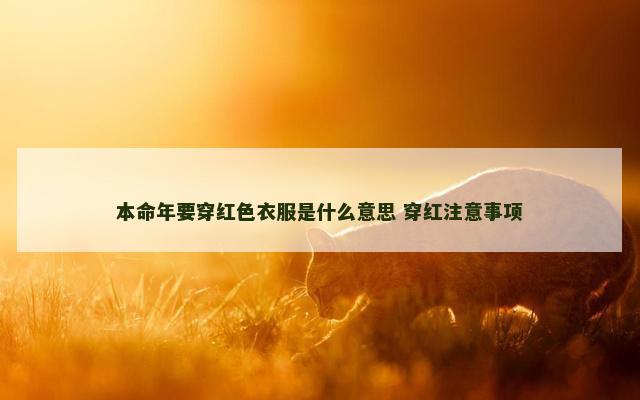 本命年要穿红色衣服是什么意思 穿红注意事项
