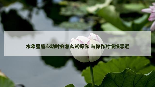 水象星座心动时会怎么试探你 与你作对慢慢靠近