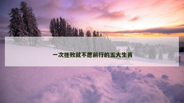一次挫败就不愿前行的五大生肖