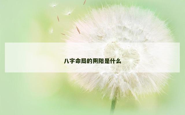 八字命局的阴阳是什么