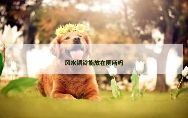 风水铜铃能放在厕所吗