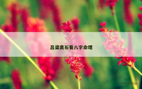 吕梁离石看八字命理