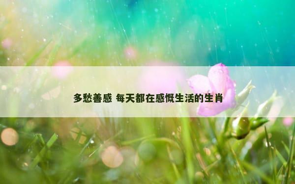 多愁善感 每天都在感慨生活的生肖