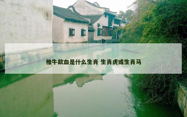 椎牛歃血是什么生肖 生肖虎或生肖马