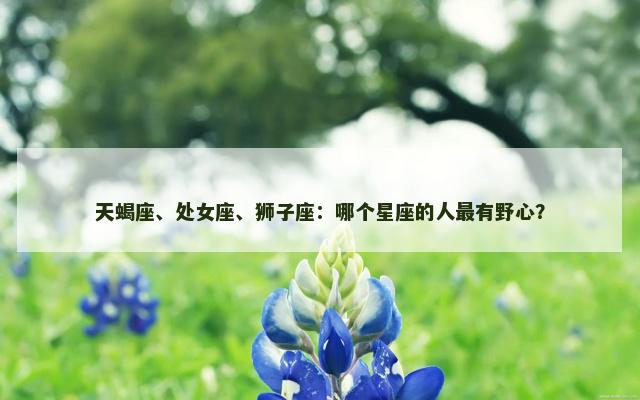 天蝎座、处女座、狮子座：哪个星座的人最有野心？