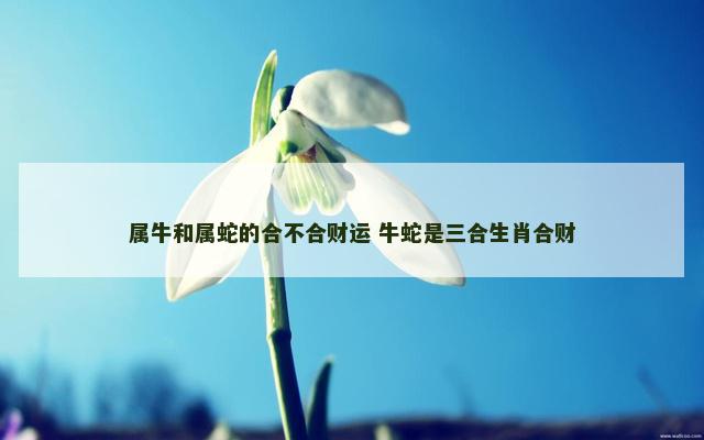 属牛和属蛇的合不合财运 牛蛇是三合生肖合财