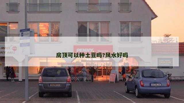 房顶可以种土豆吗?风水好吗